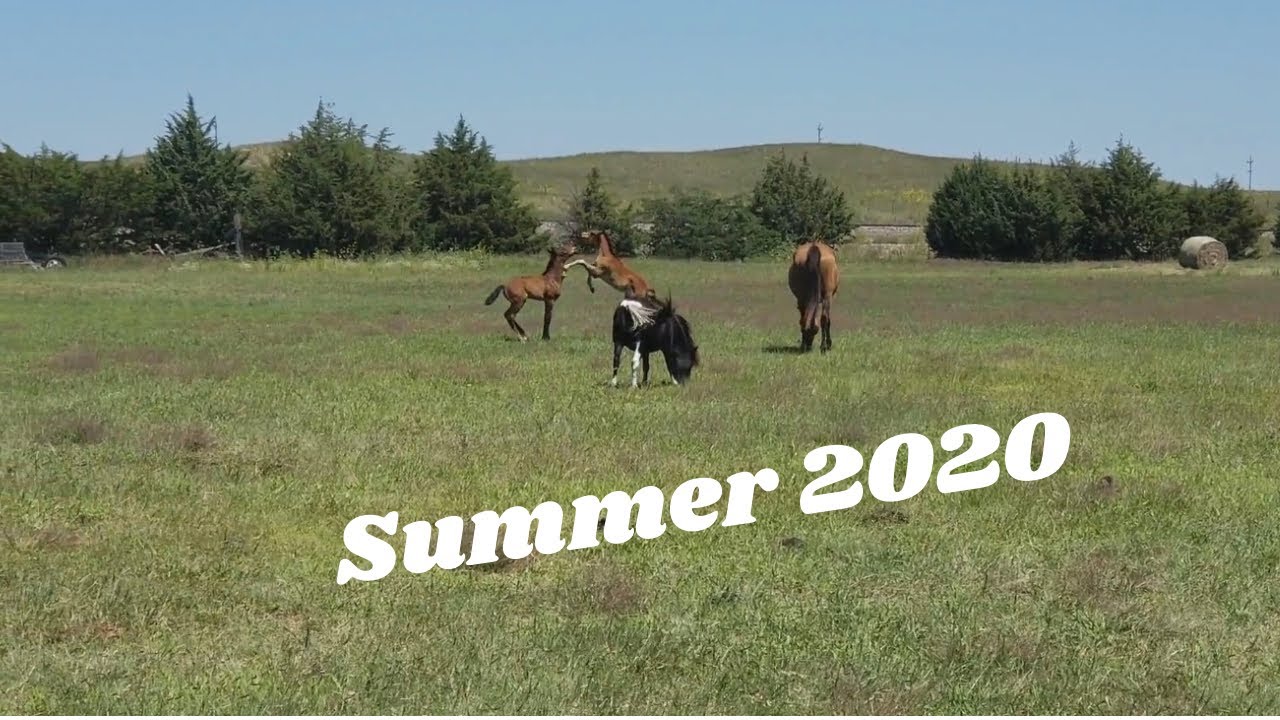 Just an afternoon in 2020 ￼