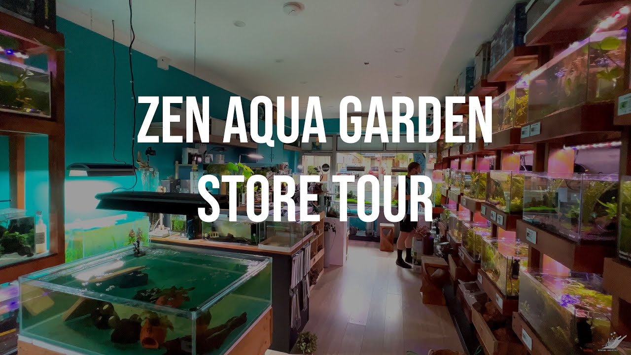 Little Cosy Aquascaping Store in Sydney