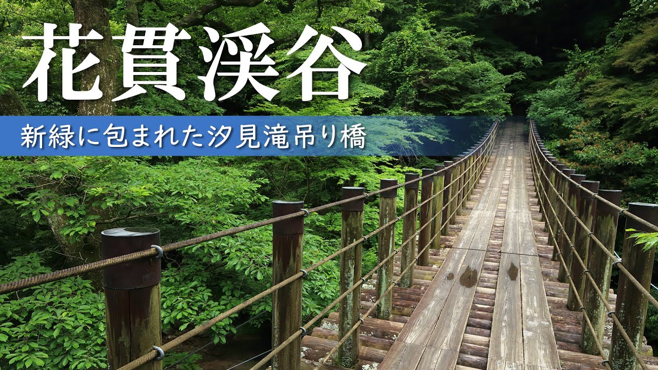 一度は行きたい美しい吊り橋/新緑の花貫渓谷/茨城観光旅行vlog