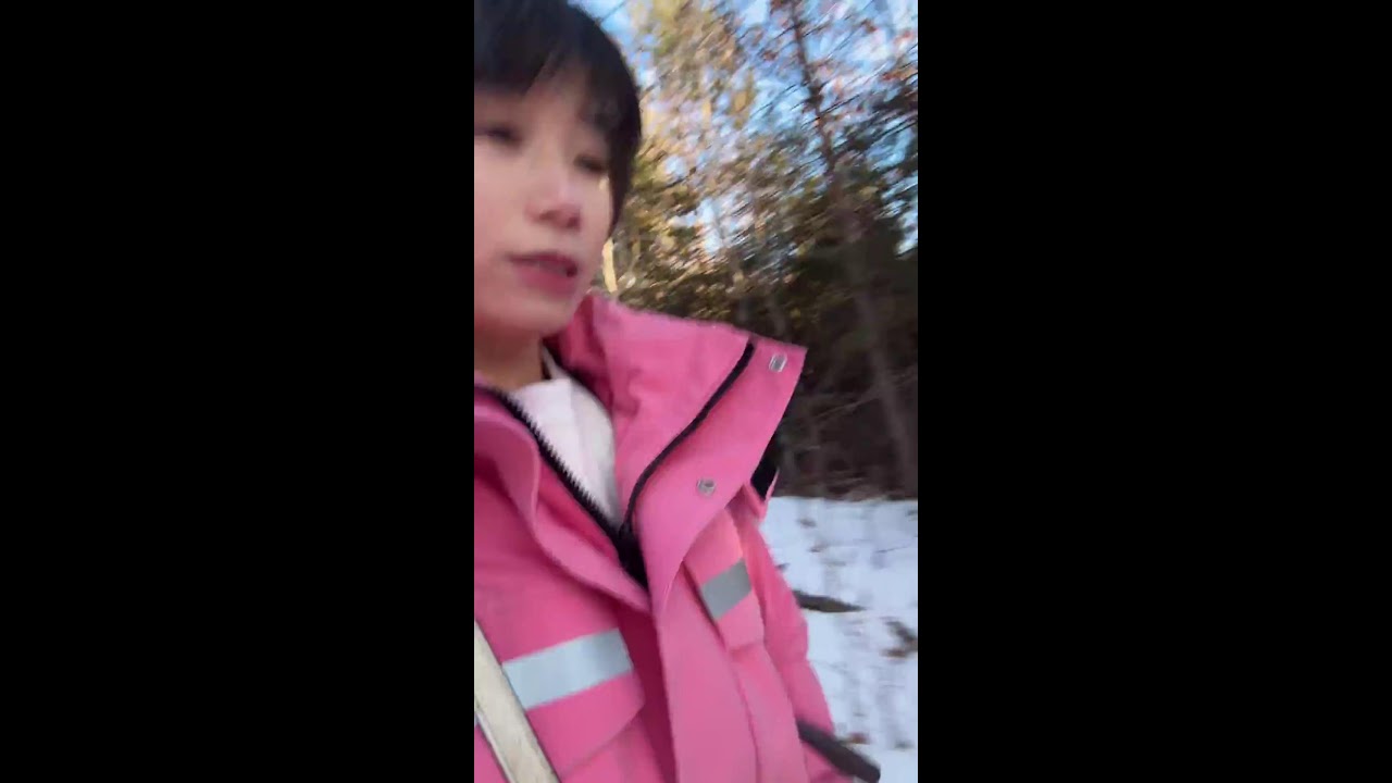 Winter Forest Live｜Feeding Wild Squirrels with Live Narration 🐿️🌲