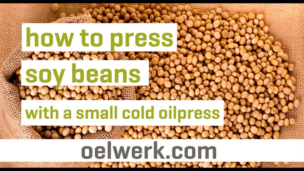 soy bean oil pressing with small cold oilpress - made in germany