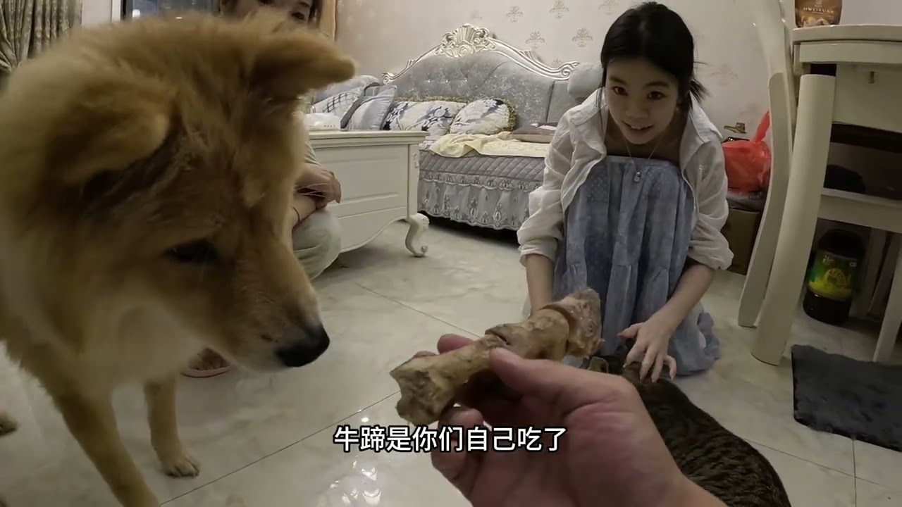 未满17岁的女儿突然决定要去打暑假工，不知道该不该让她去