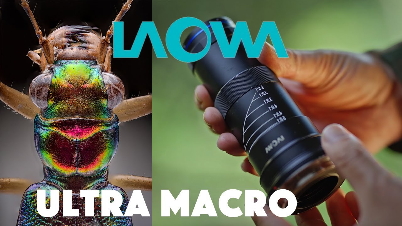 El Mejor Lente SUPER Macro? Venus Optics Laowa 25mm Ultra Macro