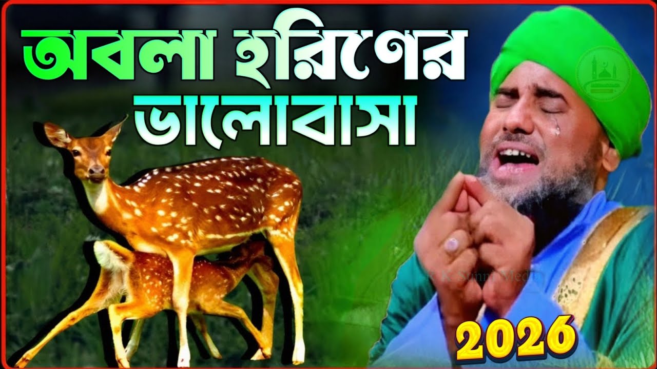 অবলা হরিণের ভালোবাসা কেমন ছিলো করুন ঘটনা ২০২৬//আমিনুদ্দিনের নতুন ওয়াজ//maulana aminuddin waz 2026
