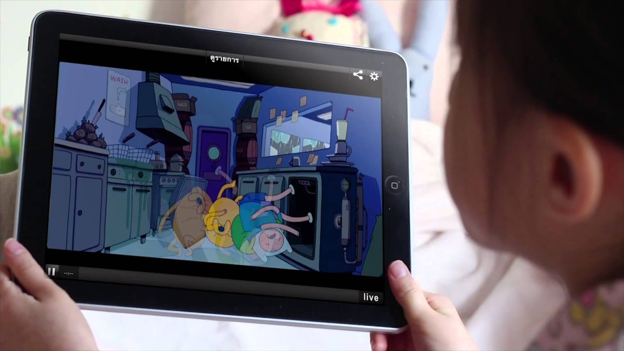 Truevisions 20 HD