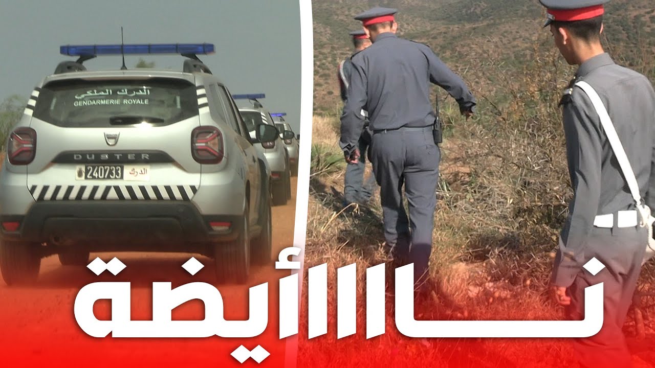 نـــايضة🛑😱 الدرك الملكي يدااهم  أوكار بيع المخدرات  بغابة 33 الشهيرة بالمحمدية❌️🔴