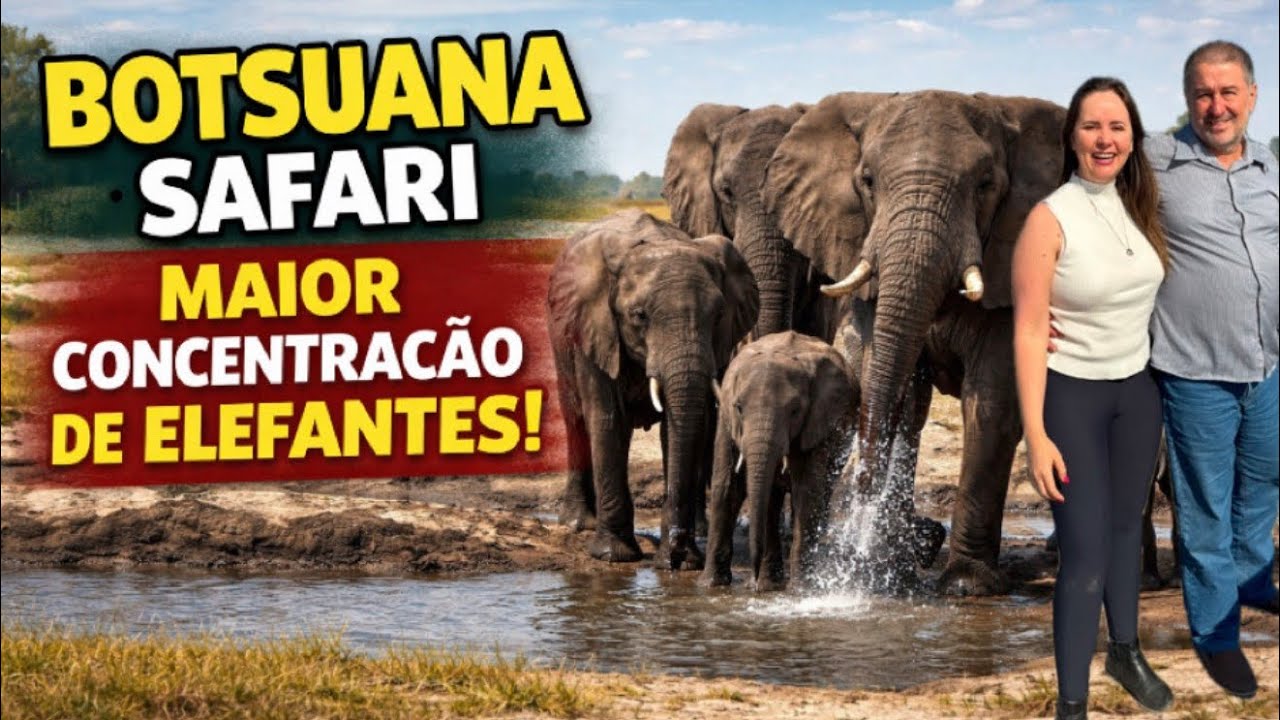 BOTSUANA SAFARI - A maior concentraçao de elefantes da Africa.