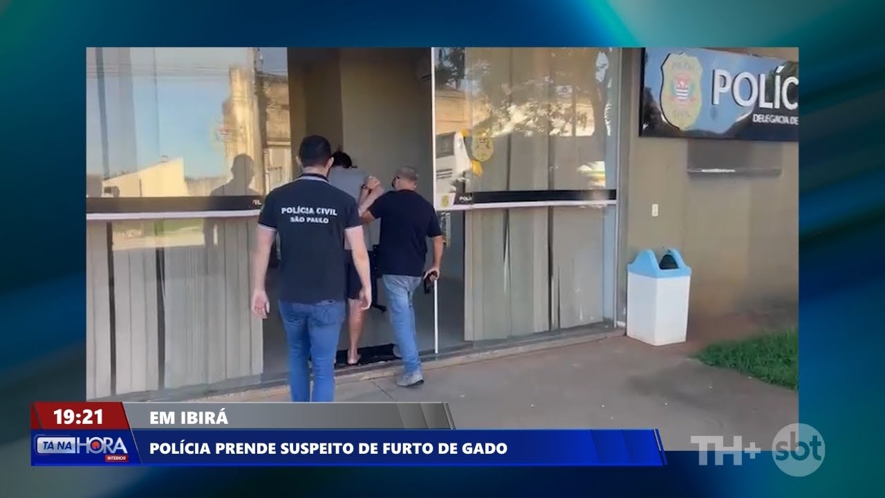 Polícia prende suspeito de furto de gado, em Ibirá; suspeito é filho de vereador