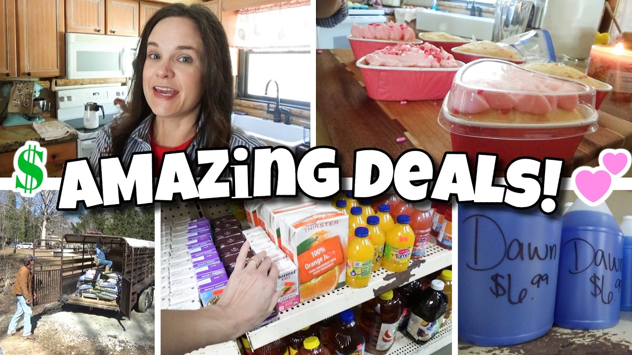 😲 Shopping at the CHEAPEST Grocery Store & CUTE Heart Cupcakes for Sunday School💕 Life in Appalachia