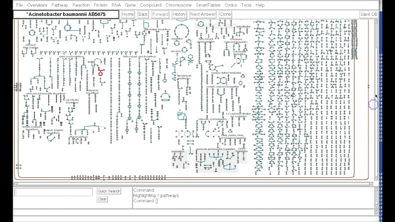 Pathologic 1b 2023