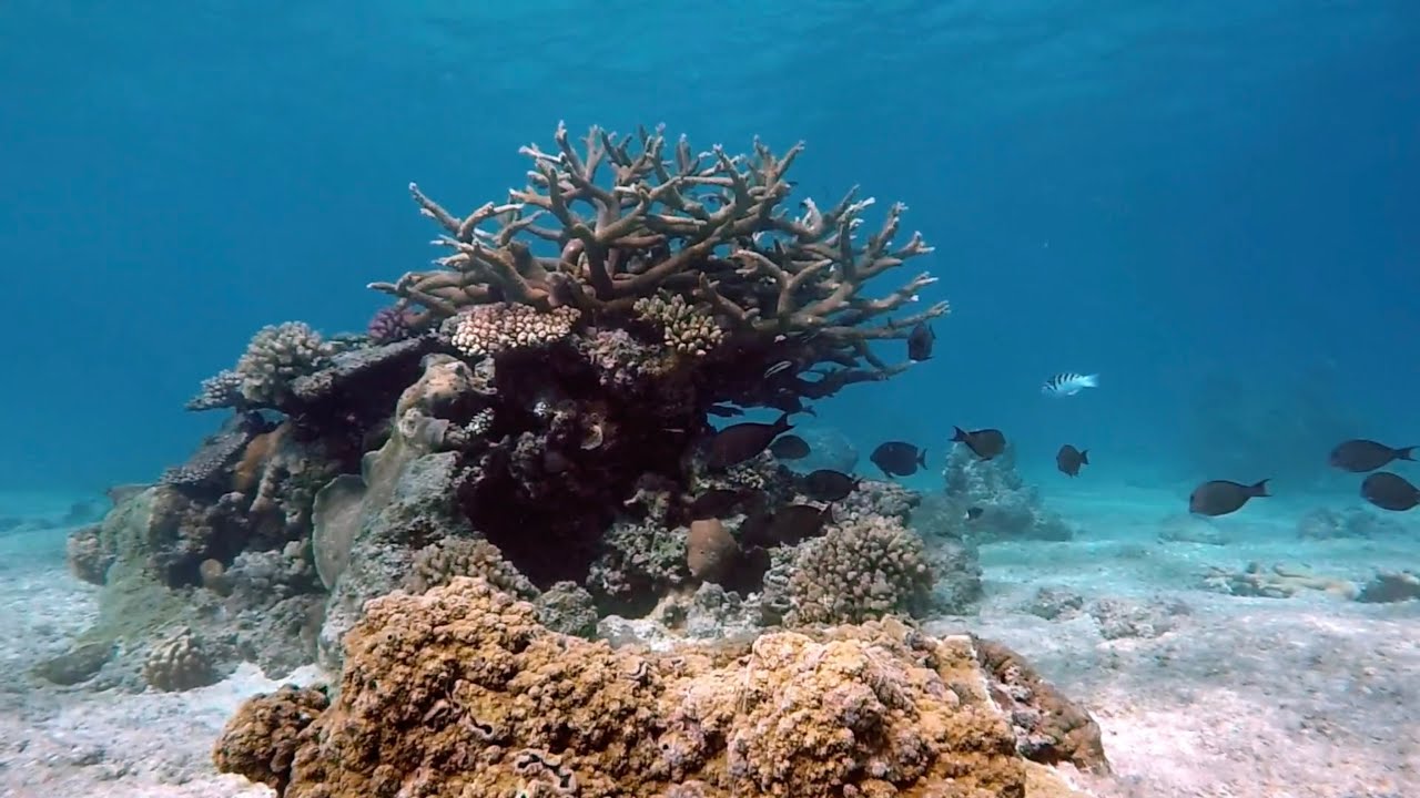 2017 07 09 Pacific Jewel, Mare, New Caledonia HQ
