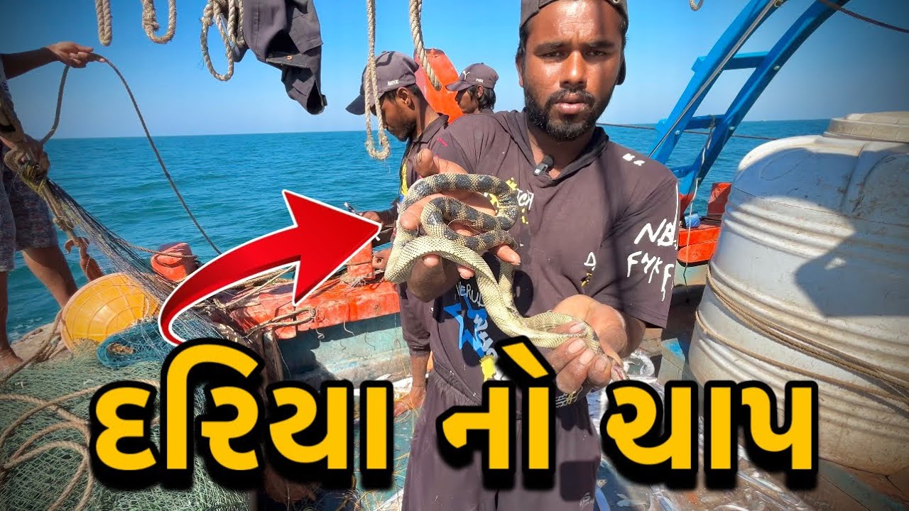દરિયા નો ચાપ