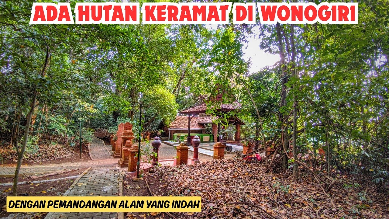 Hutan Angk3r ❓ Mengunjungi salah satu Tempat Sakral di Wonogiri