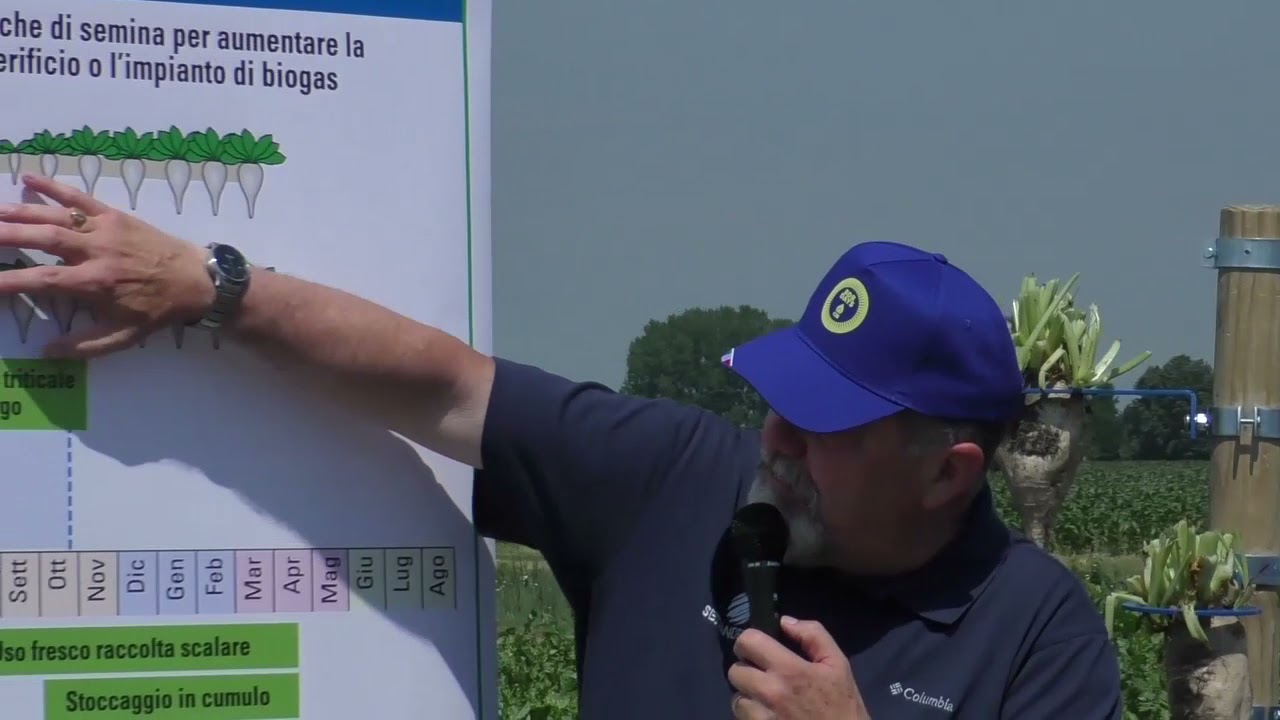 Massimo Zaghi sales manager SESVANDERHAVE presenta la bietola da biogas a semina autunnale