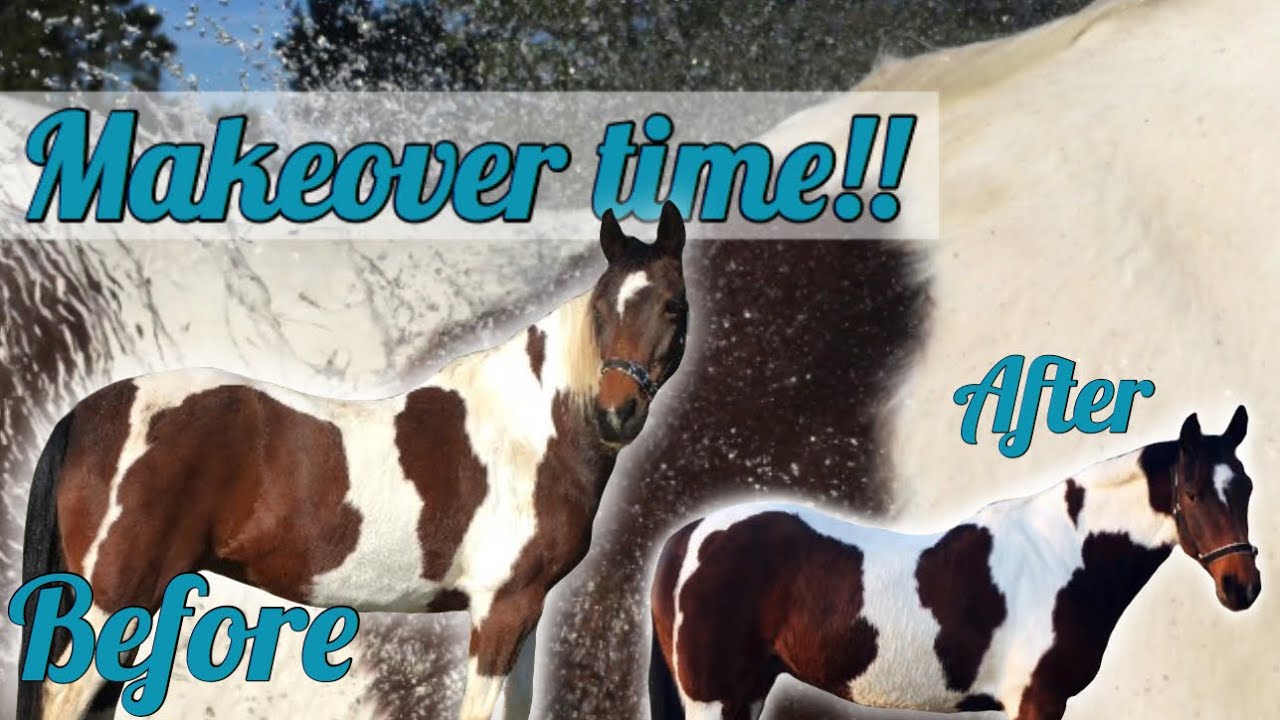 HUGE HORSE MAKEOVER!!