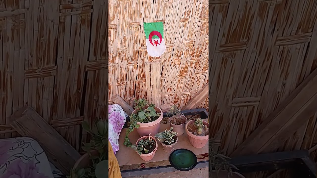 شوربة طايبة على النار 🔥  من يديات الحاجة أم نور  