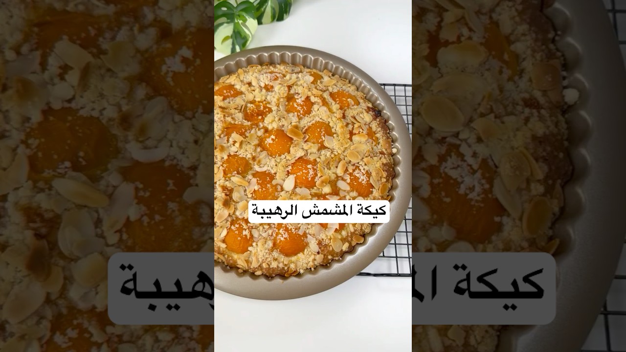 ألذ كيك مشمش ممكن تجربوه |apricot cake