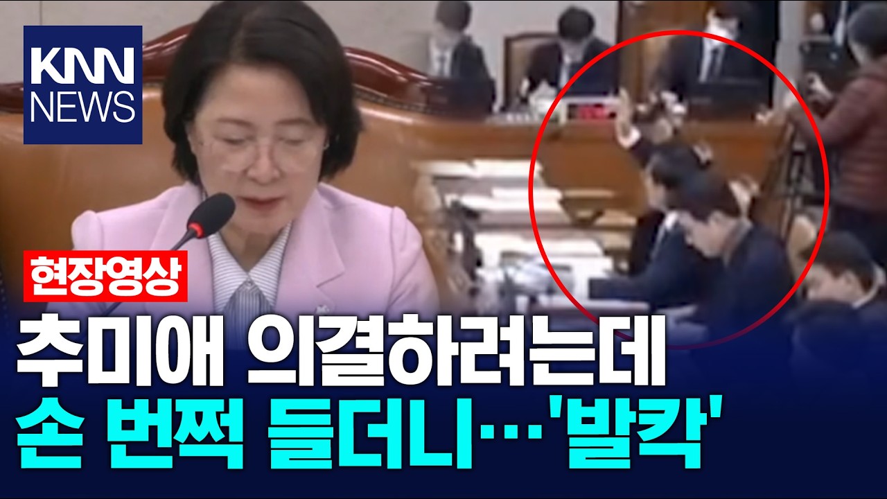 추미애 의결하려는데 손 번쩍 들더니…'발칵' / KNN