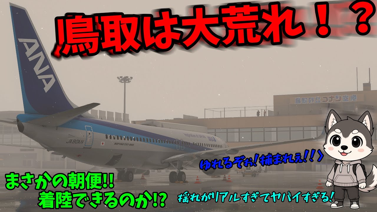 MSFS2024のMODがリアルすぎて激ヤバ！PART2 朝から運行！   #vatsim