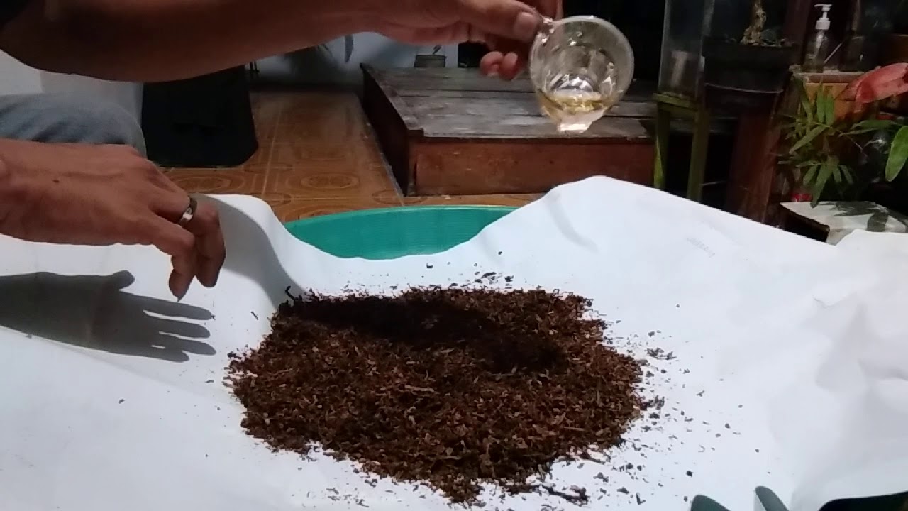 Meracik bako rasa samsu!