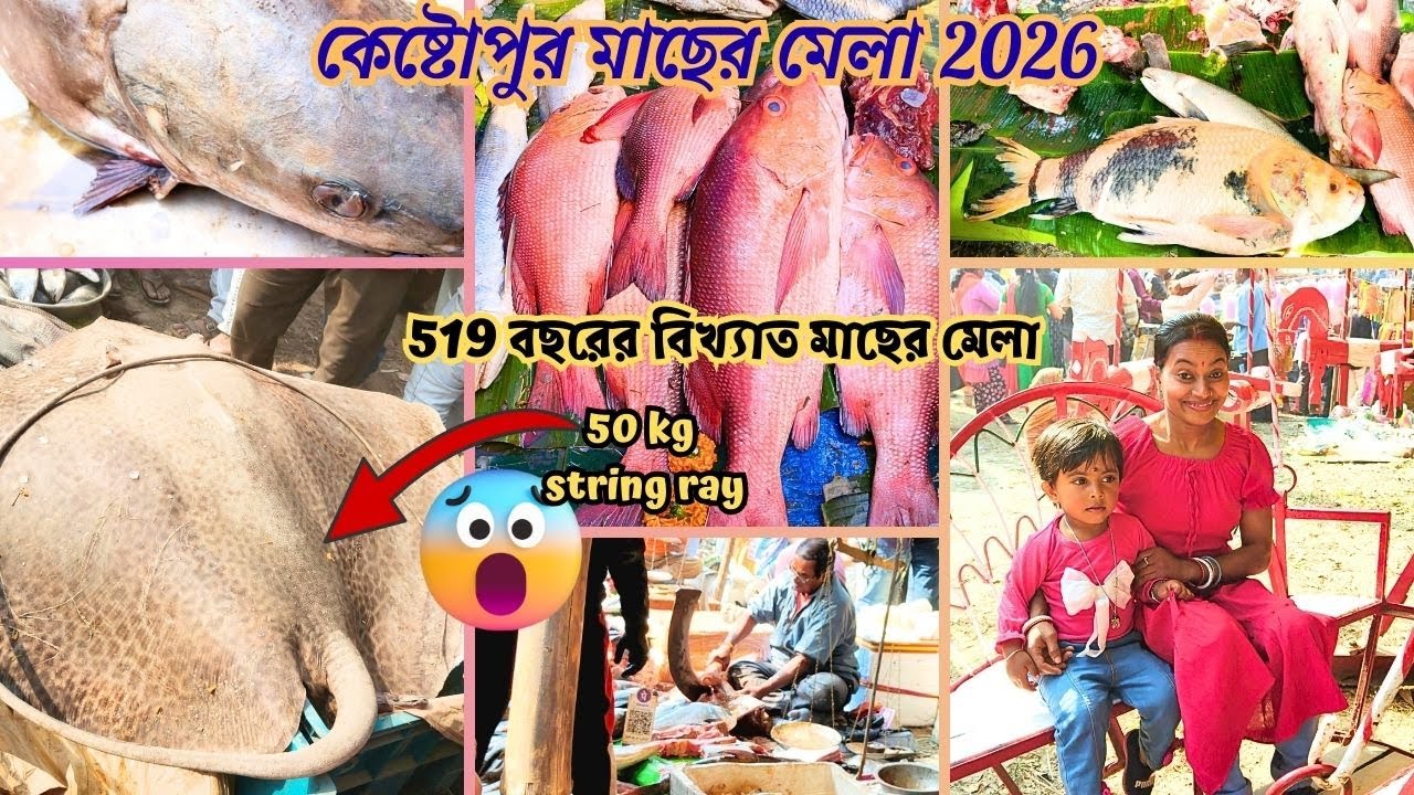 ৫১৯ বছরের বিখ্যাত মাছের মেলাতে ৫০ Kg ওজনের শঙ্কর মাছ 😱| ঐতিহাসিক কেষ্টোপুর মাছের🦈🐟মেলা  | #vlogs291