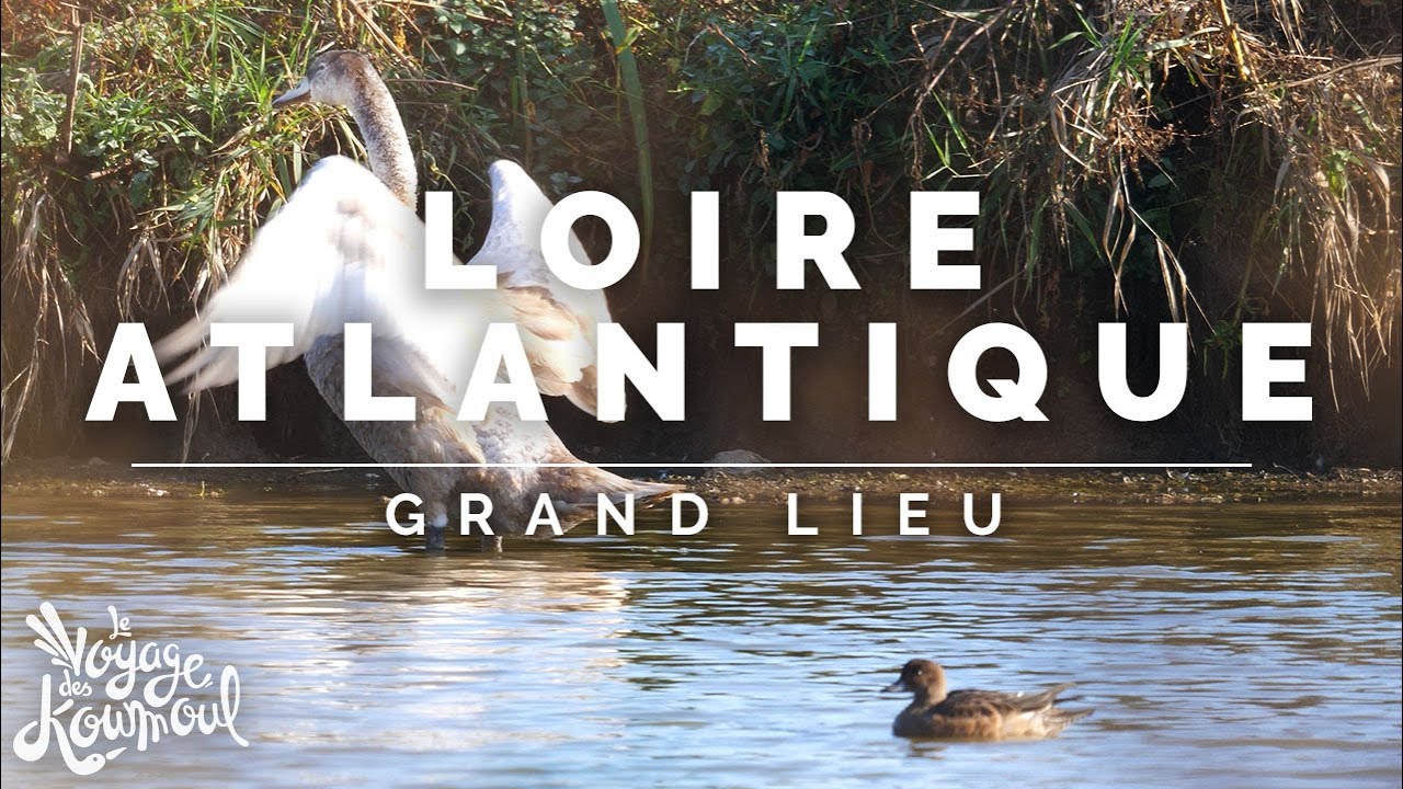 LOIRE-ATLANTIQUE - Lac de Grand-Lieu Réserve Nationale | Mellow Cuton [ Drone ]