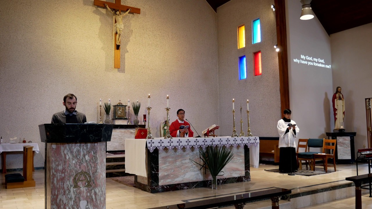 Palm Sunday of the Lord's Passion, 9am