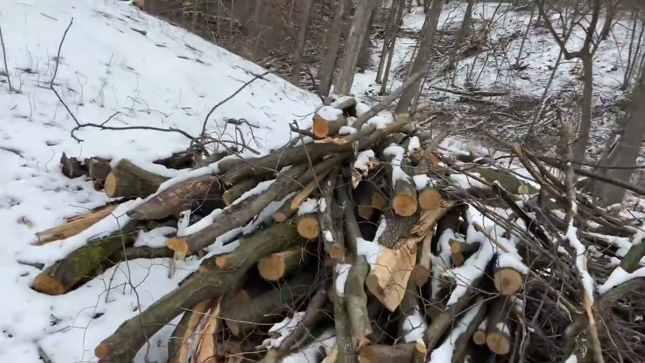 March 07, 2025
