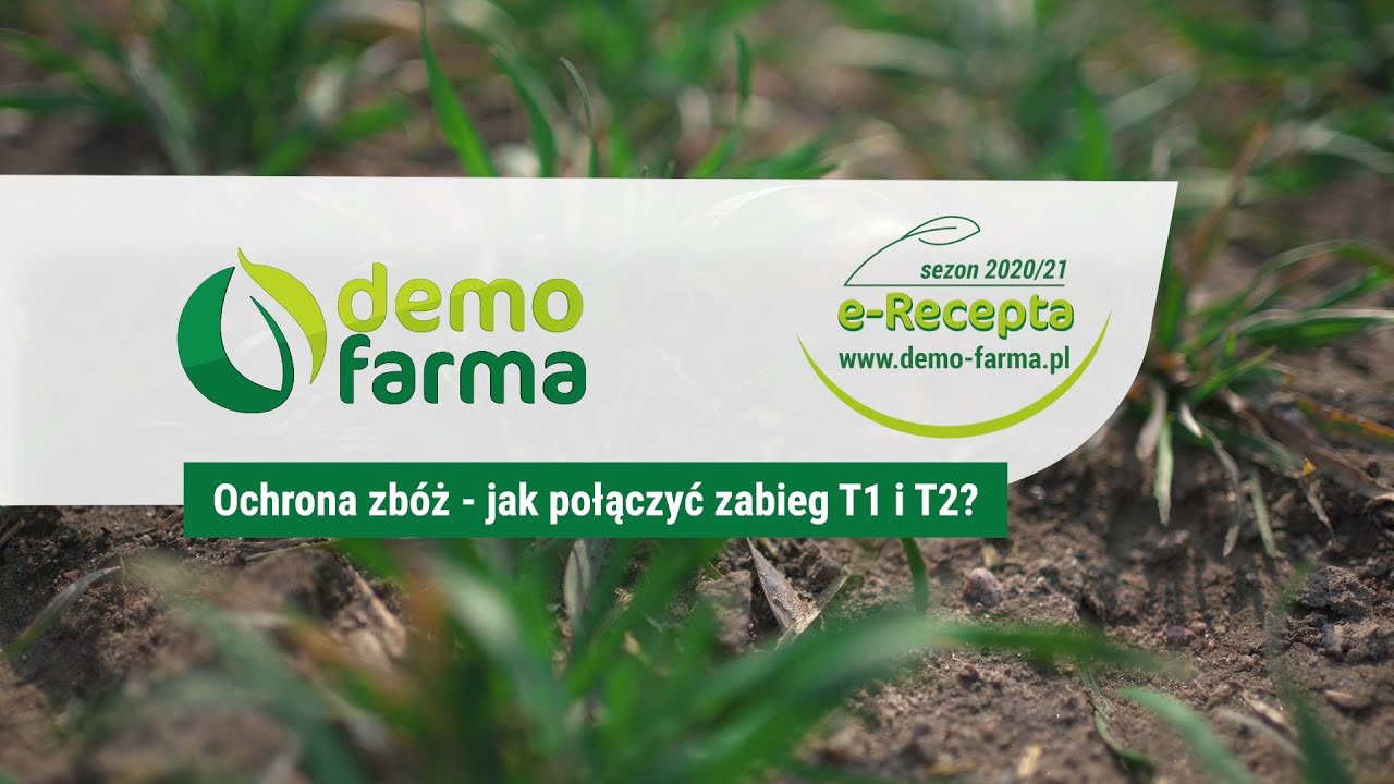 Ochrona zbóż - jak połączyć zabieg T1 i T2?