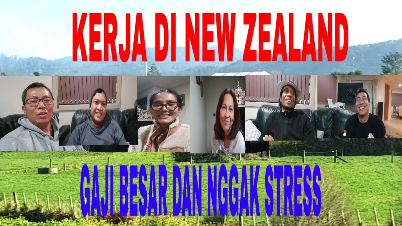 Gaji Besar dan Nggak Stress: Curhatan Para Pekerja Indonesia di Tauranga New Zealand