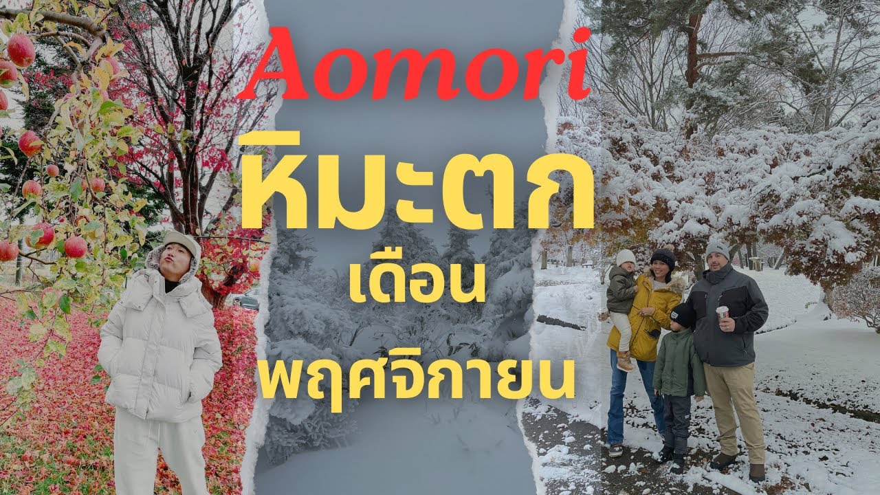 เที่ยวญี่ปุ่น Aomori ทั้งเที่ยวทั้งใช้ชีวิตกับหลาน เดือนพฤศจิกายน 2023 หิมะตก สวยมาก