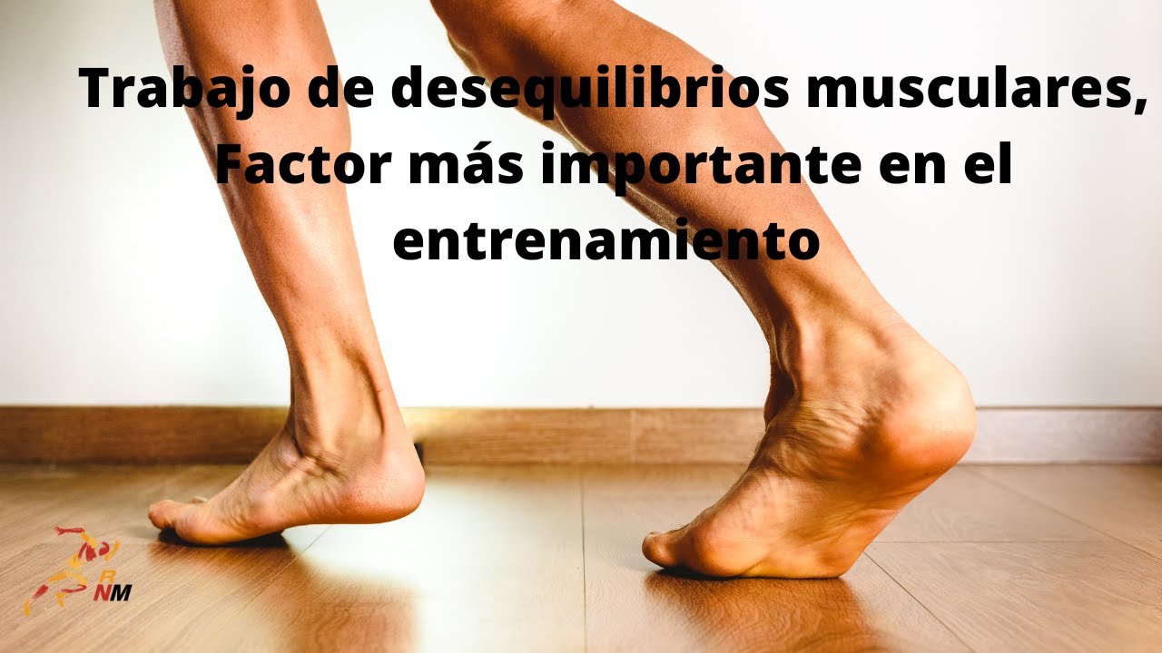 Factor más importante en el entrenamiento, trabajo de desdequilibrios musculares