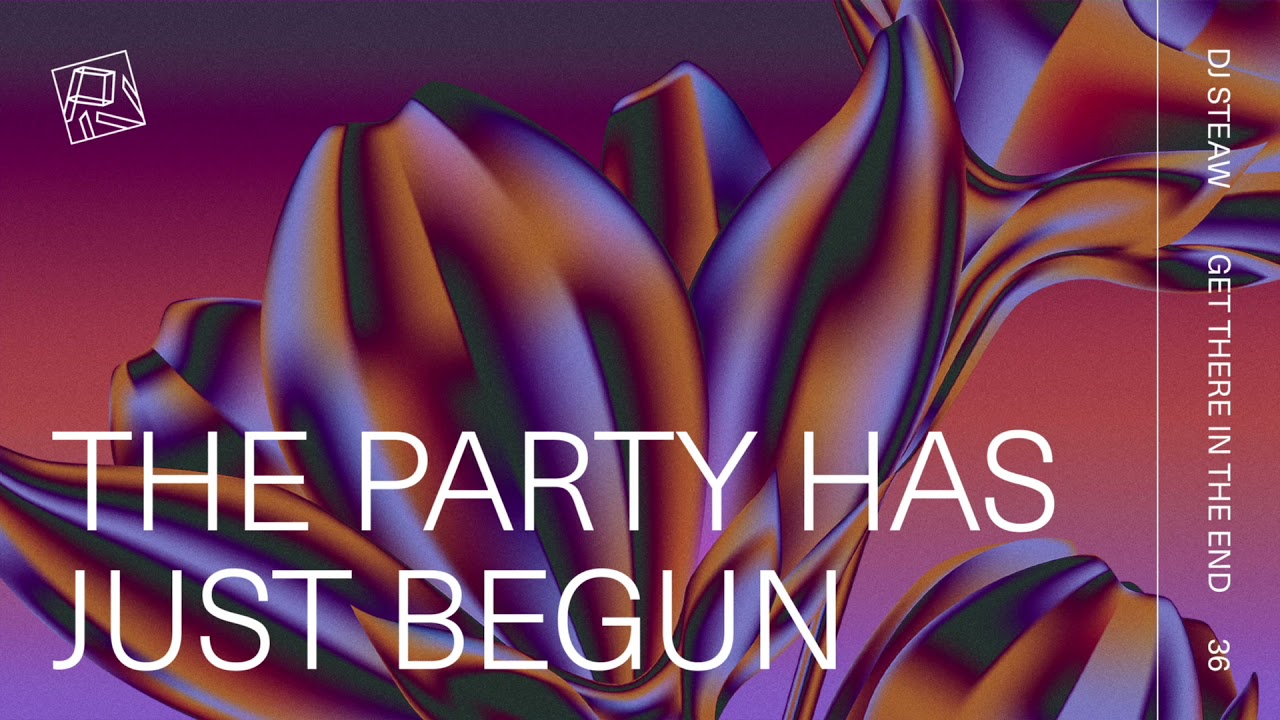 DJ Steaw - The Party Has Just Begun (PIV036)