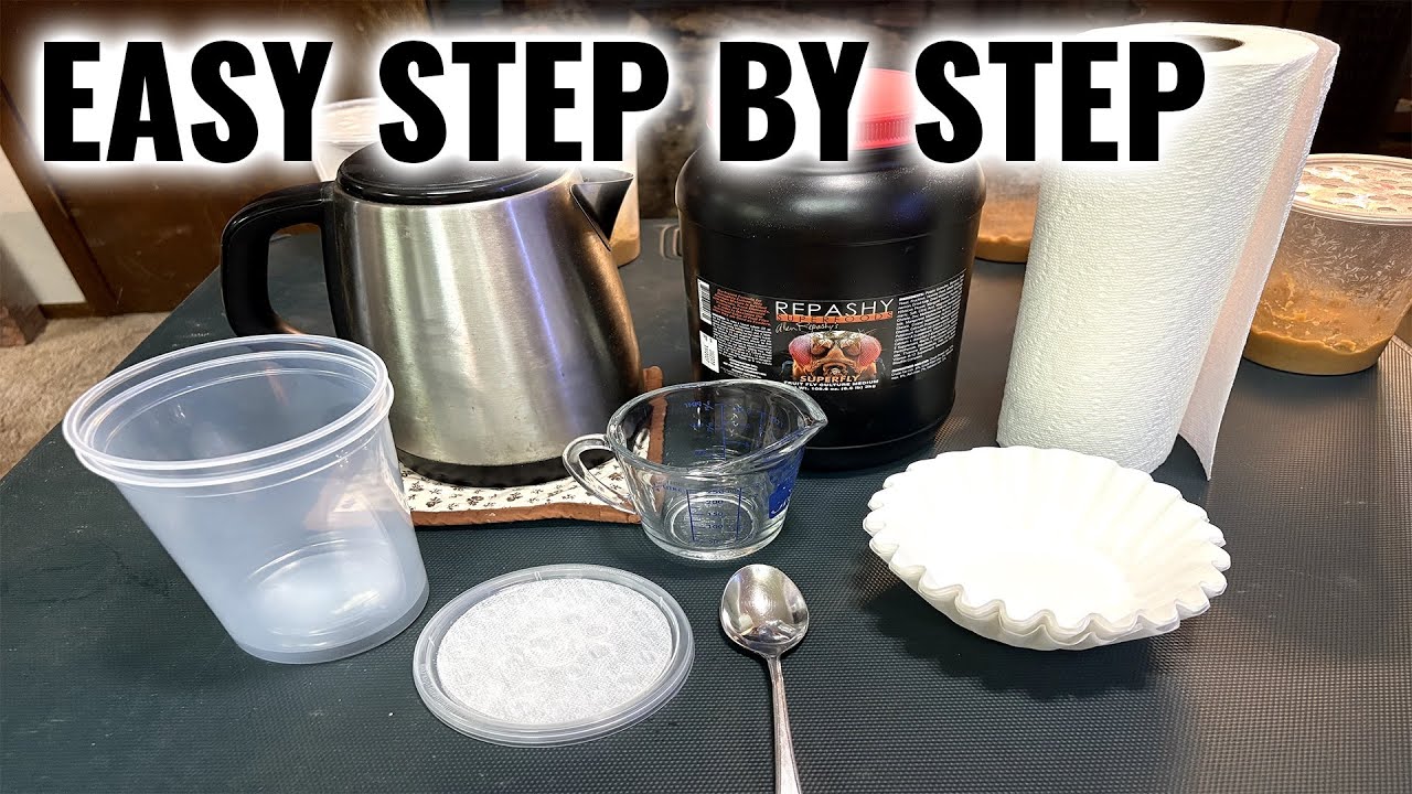 How to Culture Flightless Fruitflies as live food (Drosophila melanogaster and D. Hydei) Easy Guide