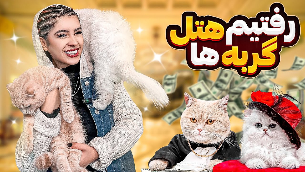 اولین هتل گربه در ایران😱🐈🐾