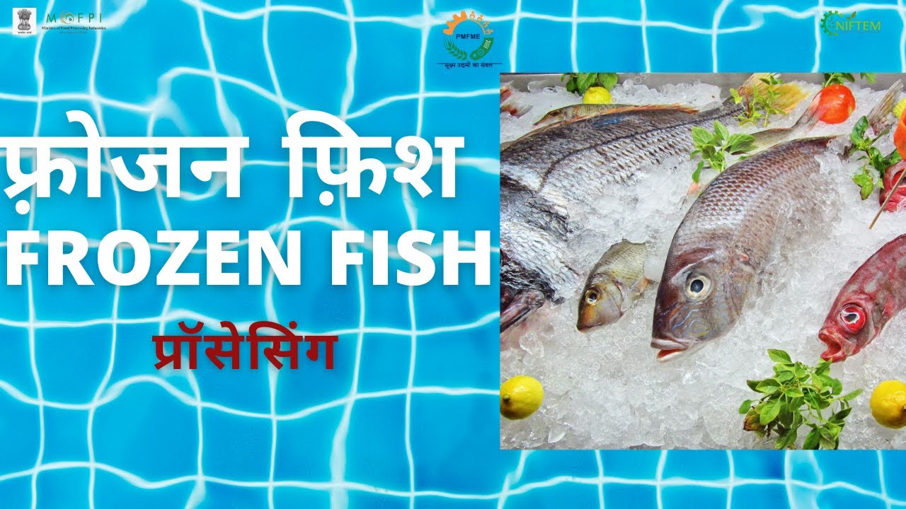 FROZEN FISH PROCESSING I फ़्रोजन फ़िश प्रसंस्करण I NIFTEM PMFME SCHEME