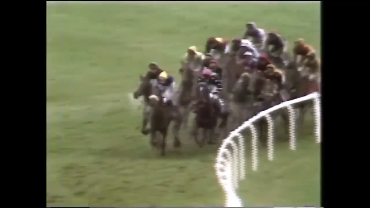 1980 Coral Golden Hurdle Final