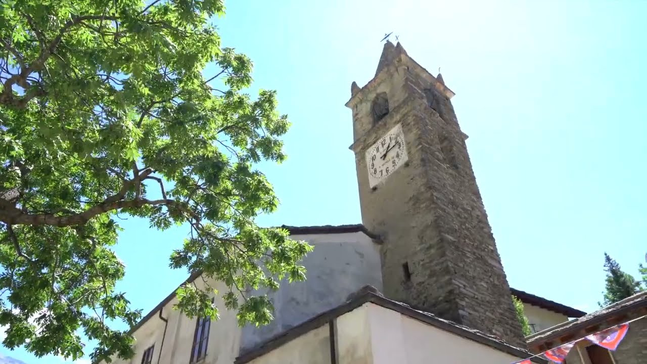 Il Frassino Secolare di Moncenisio
