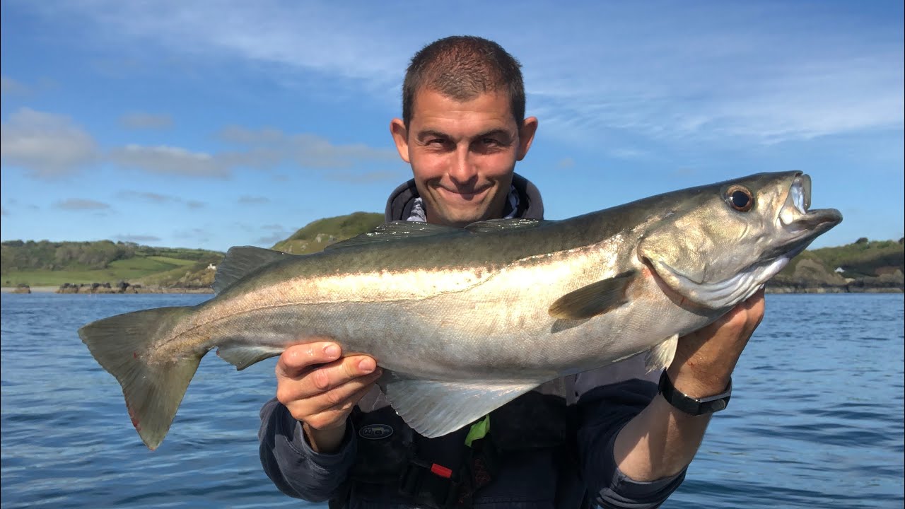 Sea Fishing UK - Pollack Fishing with lures and live baits - How to catch Pollack | The Fish Locker