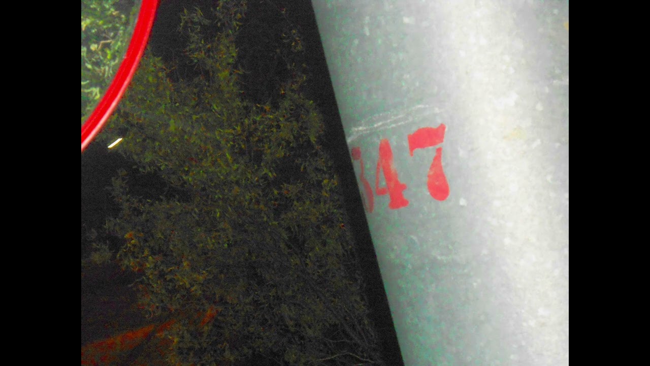 347_demo(minimal mix) 
