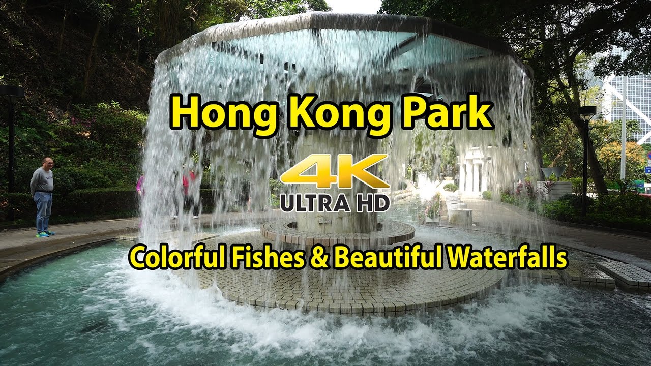 Colorful fishes and beautiful waterfalls in visiting Hong Kong Park 4K UHD April 2017