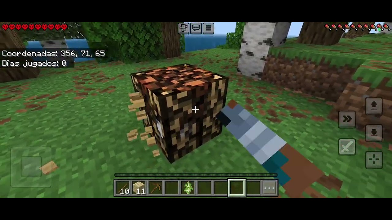 Sobrevivo Minecraft hardcore 2 día   intento número 4