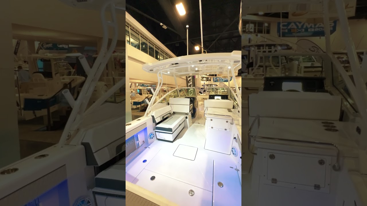 Blackfin 272DC: Powerful Multi-Use Boat