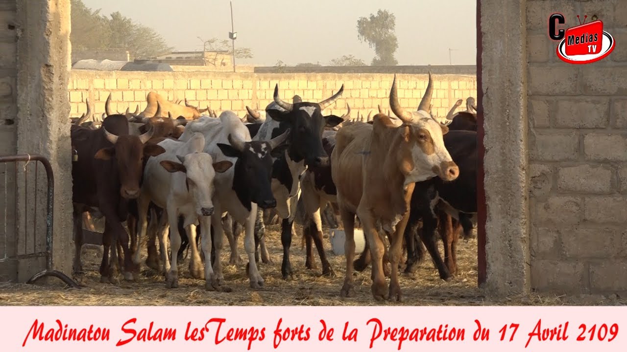 Madinatou Salam lesTemps forts de la Preparation du 17 Avril 2109