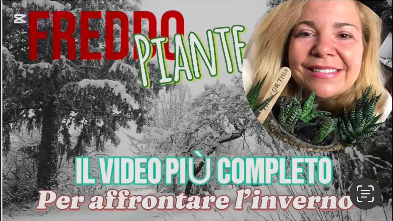 I SEGRETI per curare al meglio le PIANTE IN INVERNO