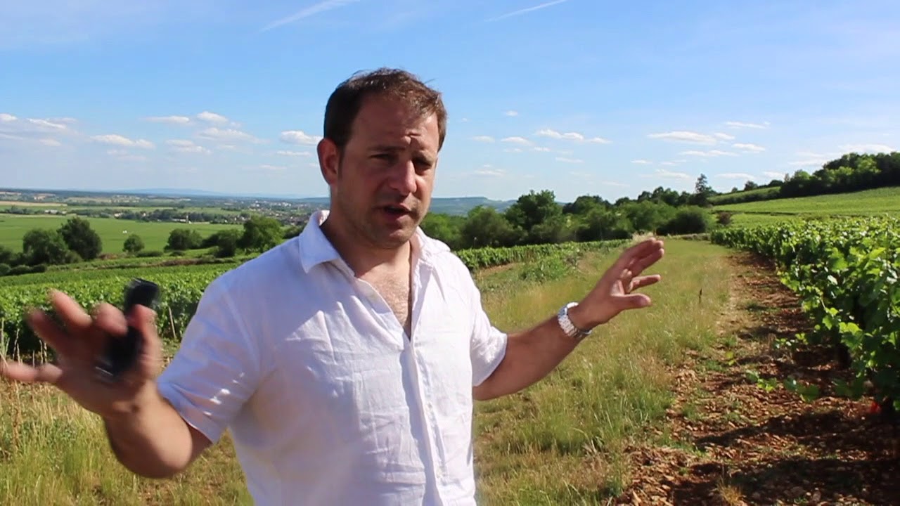 Vincent Boyer in Meursault, Narvaux