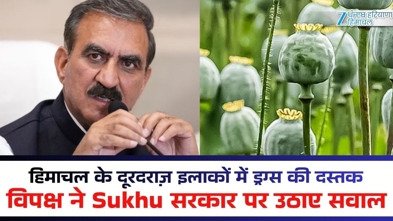 न*शे पर सियासी वार:हिमाचल के दूरदराज़ इलाकों में ड्र%ग्स की दस्तक,विपक्ष ने Sukhu सरकार पर उठाए सवाल
