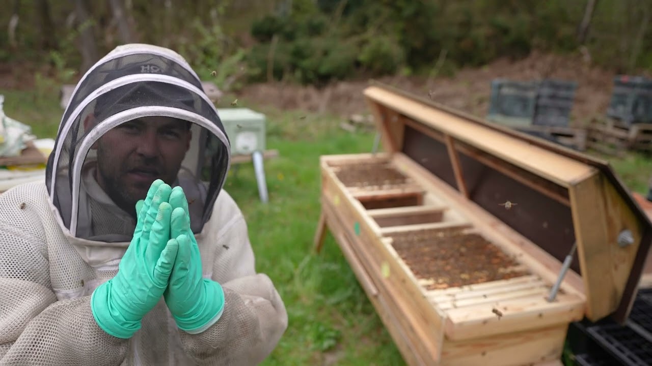 Hyde Hives Queen Rearing Nuc Ep 1