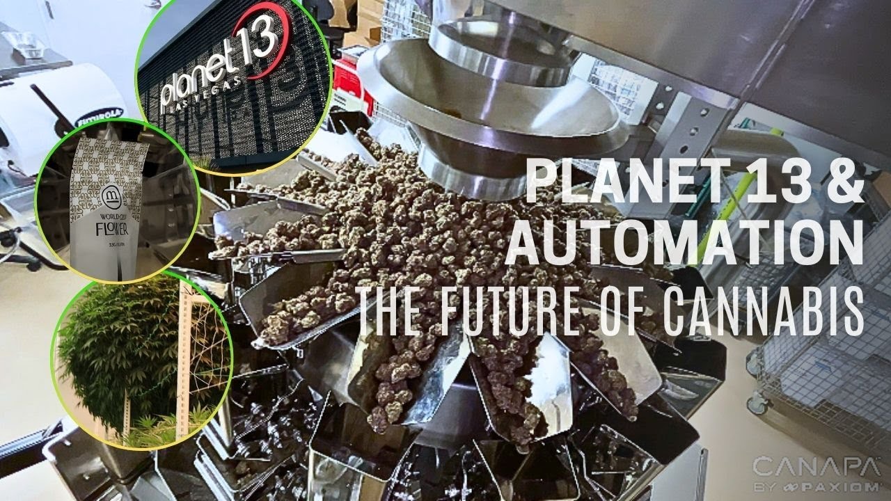 Planet 13 & Automation: Behind the Scenes at the World's Largest Dispensary