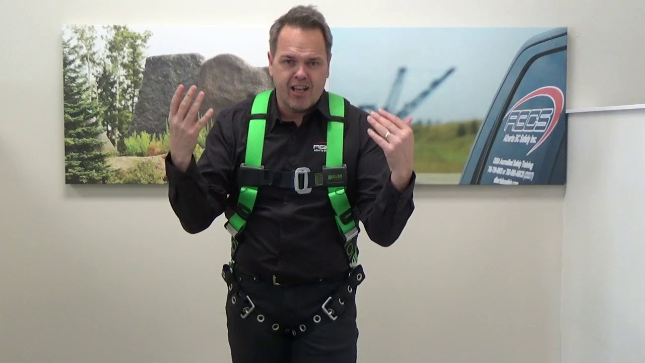 Harness Adjustment